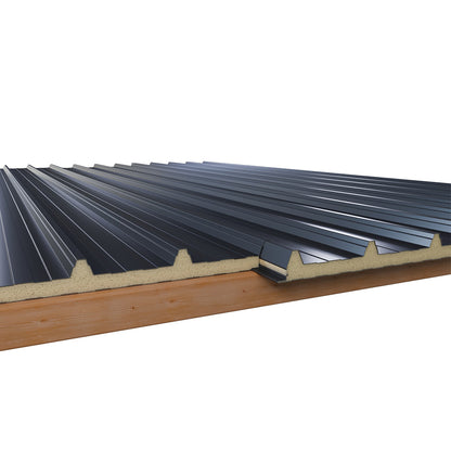 Sandwichplatten Dach in RAL 7016 Anthrazit