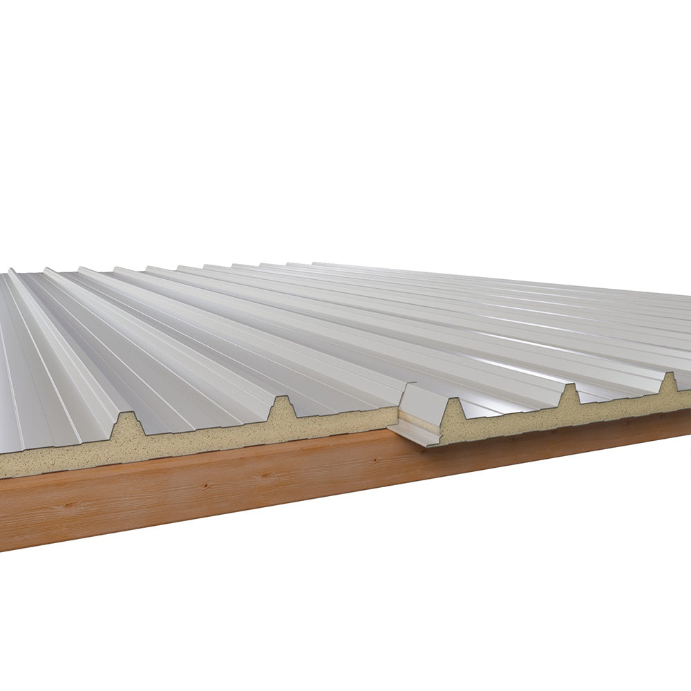 Sandwichplatten für das Dach in Ral9002