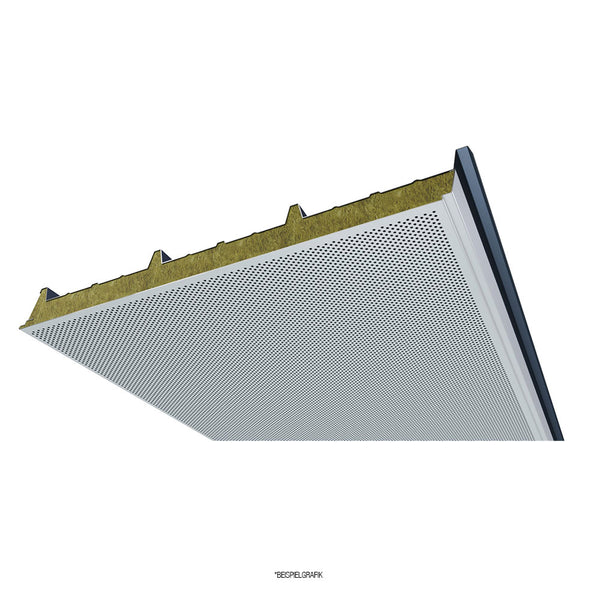 Sandwich Dachplatte Miwo Sound - 100 mm