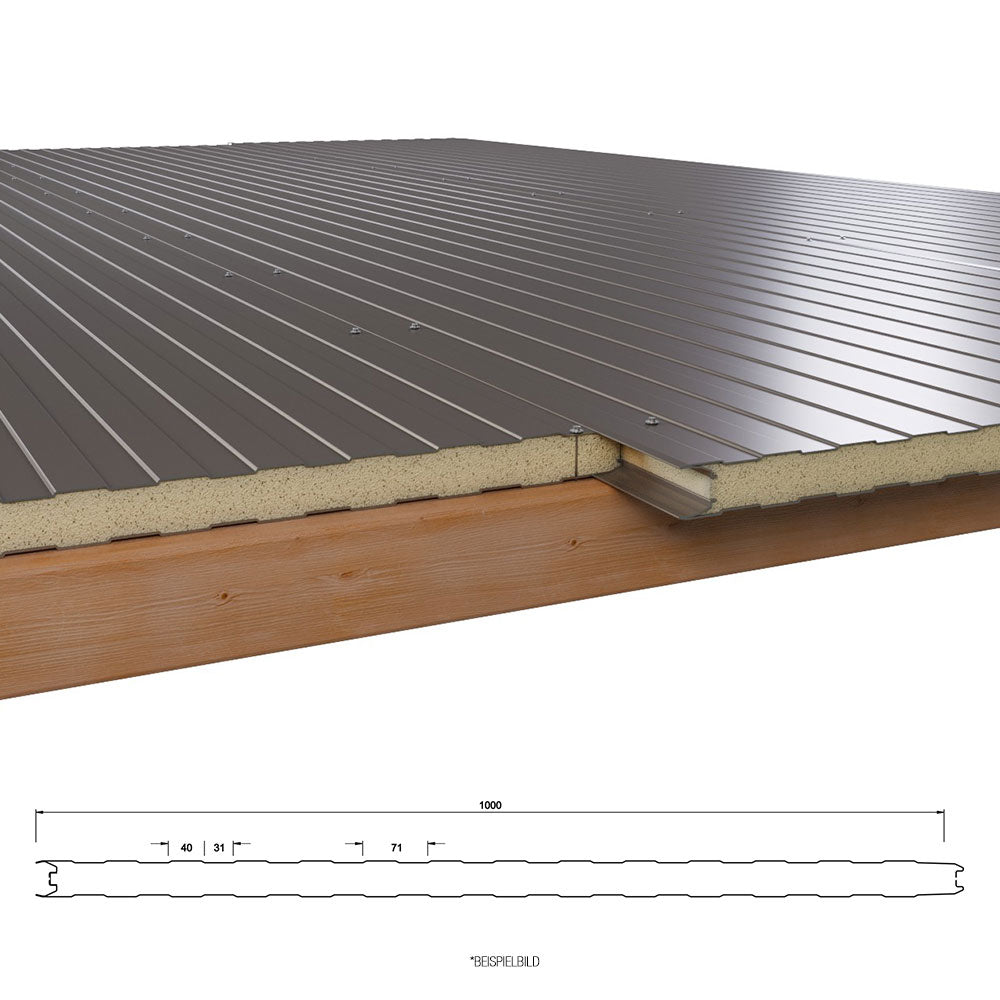 Sandwichplatten Wand in 7005