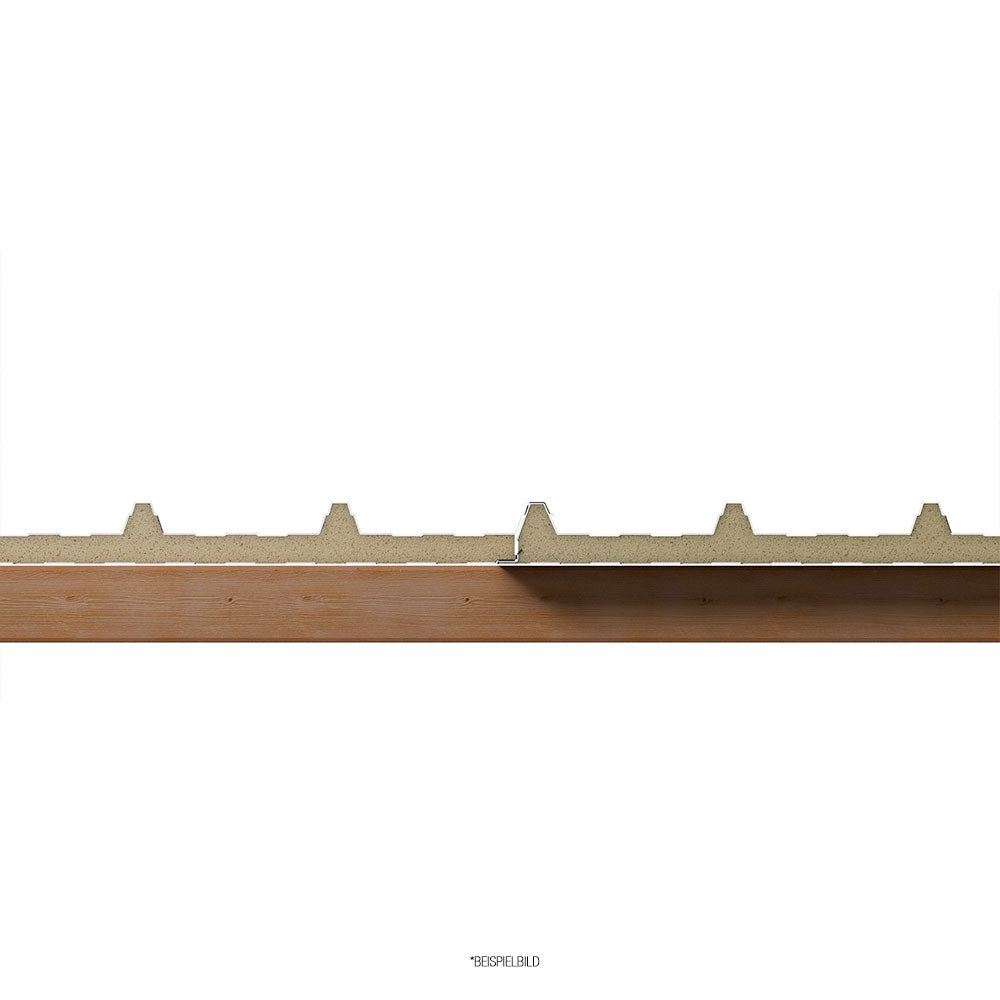 Sandwichplatten Querschnitt Dach