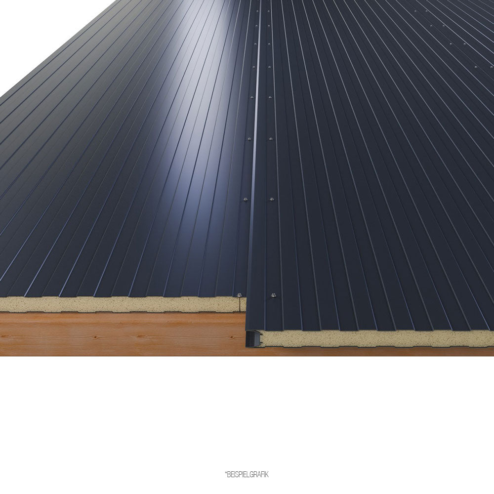 Sandwichplatten Wand 30 mm Anthrazit 6,0 m 2. Wahl