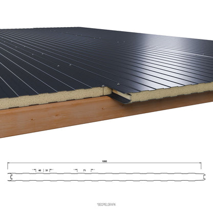 Sandwichplatten Wand 30 mm Anthrazit 6,0 m 2. Wahl